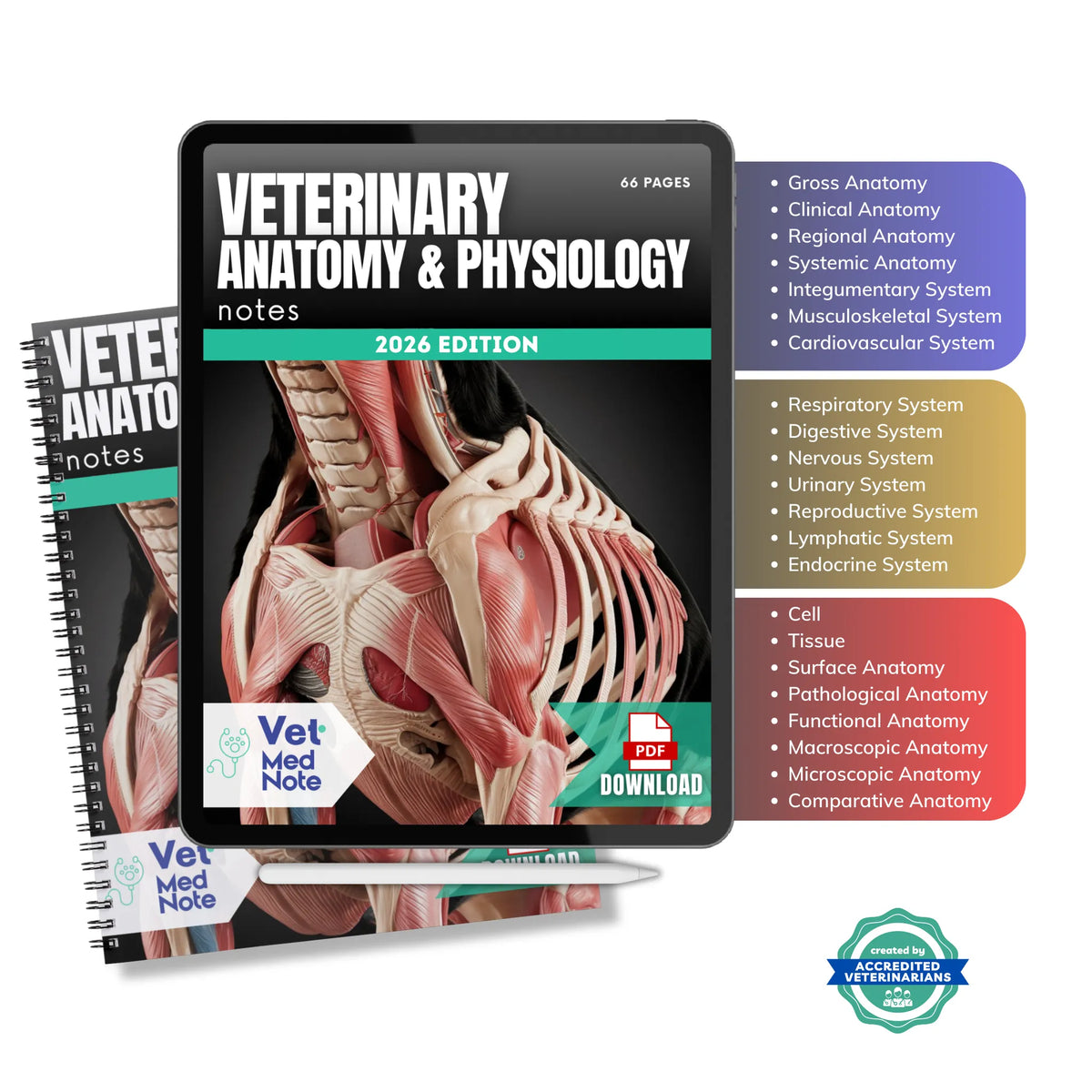 Vet Docnotes Vet Study Notes - COMPLETE BUNDLE – Vet Med Note