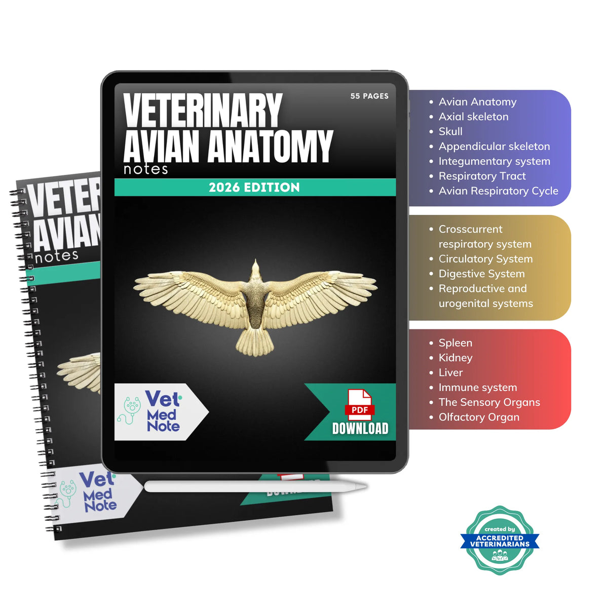 Vet Docnotes Vet Study Notes - COMPLETE BUNDLE – Vet Med Note